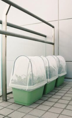 プランター・支柱・防虫ネット完成図