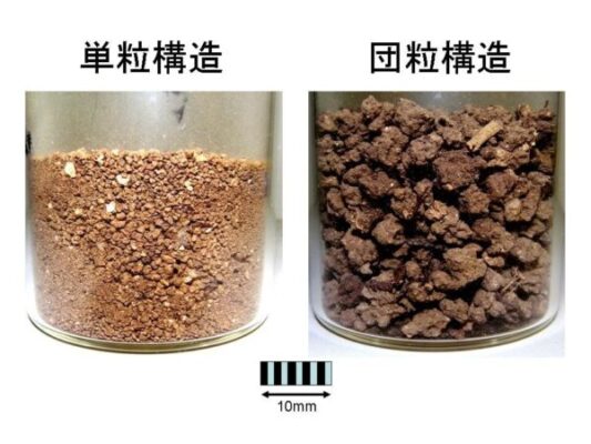写真_単粒構造と団粒構造