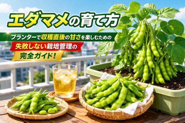 エダマメ育成完全ガイド
