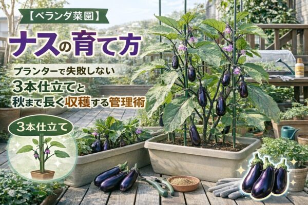 ベランダで育てるナスのコツ