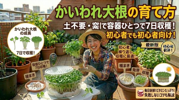 かいわれ大根の育て方