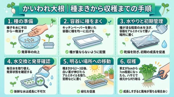 カイワレ大根