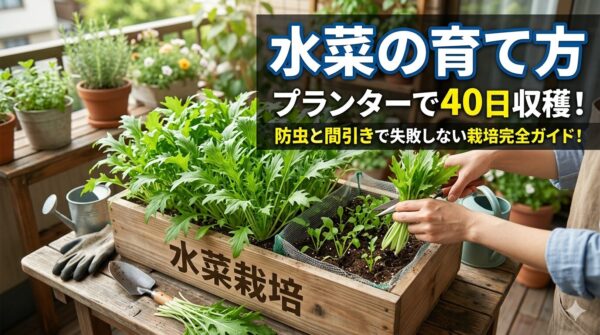 水菜の育て方｜プランターで40日収穫
