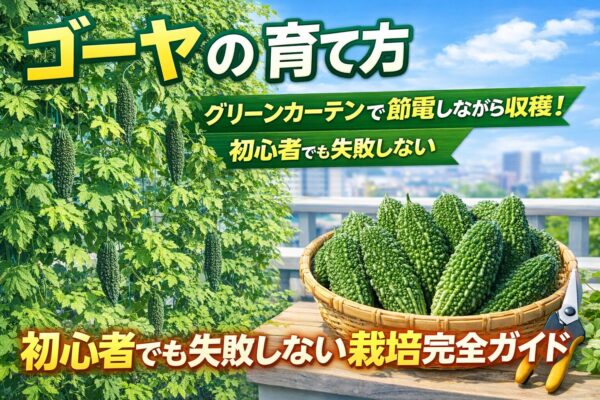 ゴーヤで作るグリーンカーテン