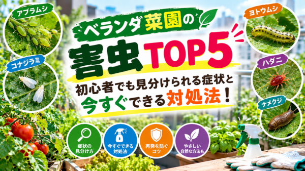 ベランダ菜園の害虫TOP5