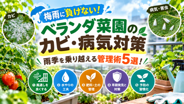 梅雨に負けない！ベランダ菜園のカビ・病気対策